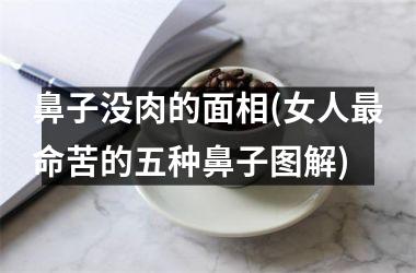 <h3>鼻子没肉的面相(女人命苦的五种鼻子图解)