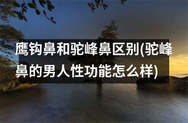 <h3>鹰钩鼻和驼峰鼻区别(驼峰鼻的男人性功能怎么样)