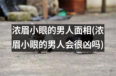 <h3>浓眉小眼的男人面相(浓眉小眼的男人会很凶吗)