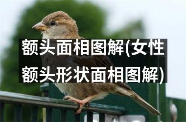 额头面相图解(女性额头形状面相图解)
