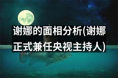 <h3>谢娜的面相分析(谢娜正式兼任央视主持人)