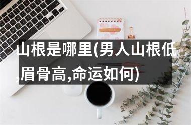 <h3>山根是哪里(男人山根低,眉骨高,命运如何)
