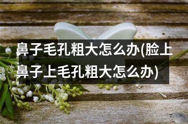 鼻子毛孔粗大怎么办(脸上鼻子上毛孔粗大怎么办)