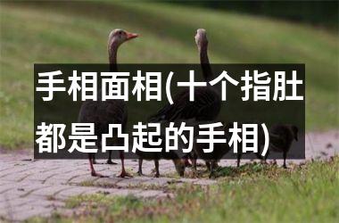 <h3>手相面相(十个指肚都是凸起的手相)
