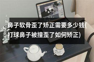 <h3>鼻子软骨歪了矫正需要多少钱(打球鼻子被撞歪了如何矫正)