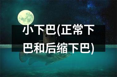 <h3>小下巴(正常下巴和后缩下巴)