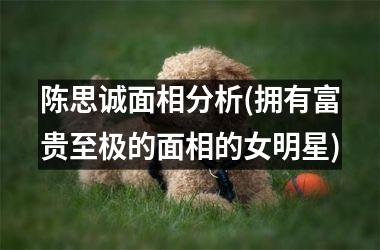 陈思诚面相分析(拥有富贵至极的面相的女明星)