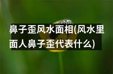 鼻子歪风水面相(风水里面人鼻子歪代表什么)