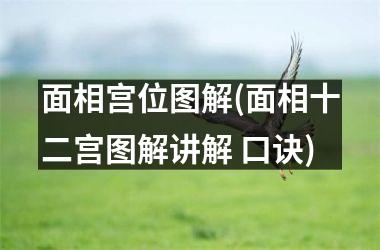 面相宫位图解(面相十二宫图解讲解 口诀)