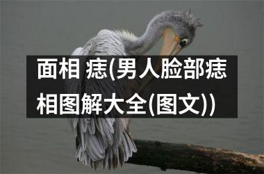 面相 痣(男人脸部痣相图解大全(图文))