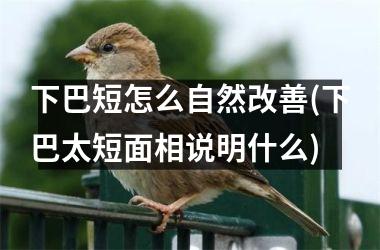 下巴短怎么自然改善(下巴太短面相说明什么)