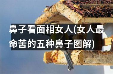 鼻子看面相女人(女人最命苦的五种鼻子图解)