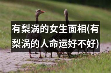 有梨涡的女生面相(有梨涡的人命运好不好)