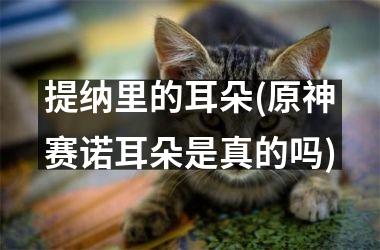 提纳里的耳朵(原神赛诺耳朵是真的吗)