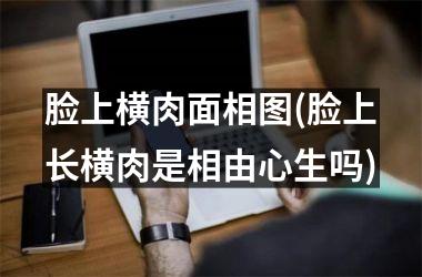 <h3>脸上横肉面相图(脸上长横肉是相由心生吗)
