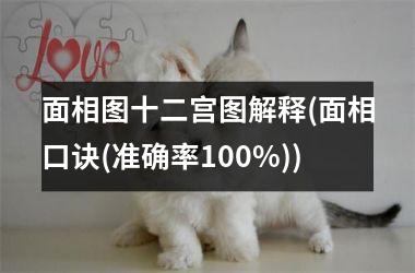 面相图十二宫图解释(面相口诀(准确率100%))