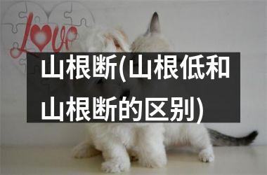<h3>山根断(山根低和山根断的区别)