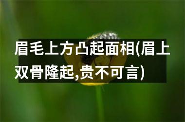 <h3>眉毛上方凸起面相(眉上双骨隆起,贵不可言)