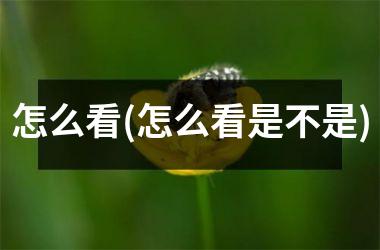 怎么看(怎么看是不是)