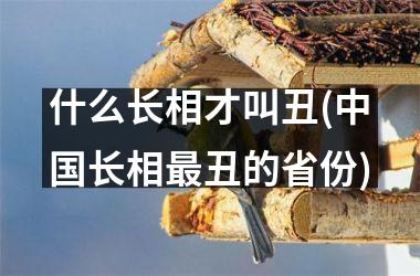什么长相才叫丑(长相最丑的省份)