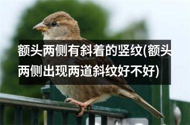 额头两侧有斜着的竖纹(额头两侧出现两道斜纹好不好)