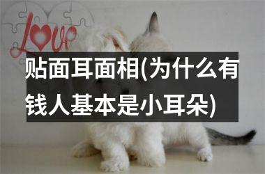 贴面耳面相(为什么有钱人基本是小耳朵)