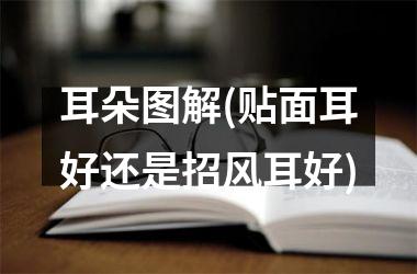 耳朵图解(贴面耳好还是招风耳好)