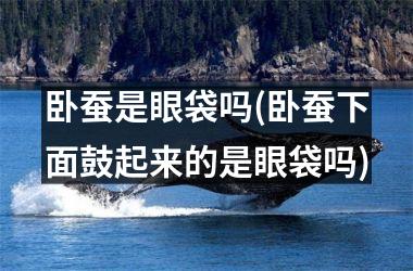 <h3>卧蚕是眼袋吗(卧蚕下面鼓起来的是眼袋吗)