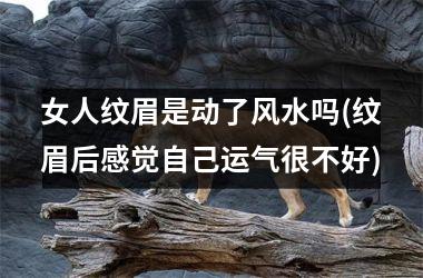 <h3>女人纹眉是动了风水吗(纹眉后感觉自己运气很不好)