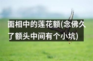 面相中的莲花额(念佛久了额头中间有个小坑)