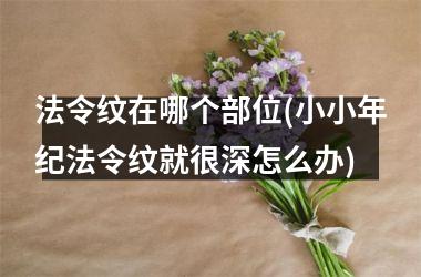 <h3>法令纹在哪个部位(小小年纪法令纹就很深怎么办)