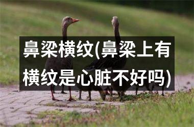 鼻梁横纹(鼻梁上有横纹是心脏不好吗)