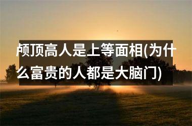 <h3>颅顶高人是上等面相(为什么富贵的人都是大脑门)