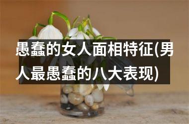 <h3>愚蠢的女人面相特征(男人最愚蠢的八大表现)