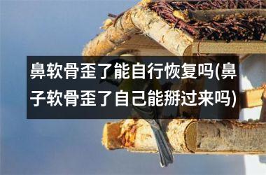 鼻软骨歪了能自行恢复吗(鼻子软骨歪了自己能掰过来吗)