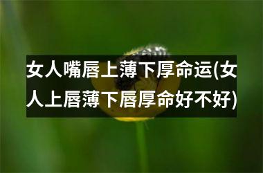 女人嘴唇上薄下厚命运(女人上唇薄下唇厚命好不好)
