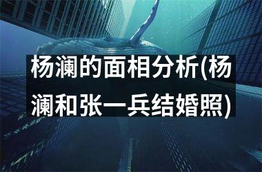 <h3>杨澜的面相分析(杨澜和张一兵结婚照)