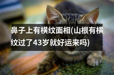 <h3>鼻子上有横纹面相(山根有横纹过了43岁就好运来吗)