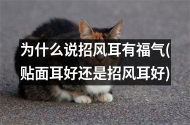 <h3>为什么说招风耳有福气(贴面耳好还是招风耳好)