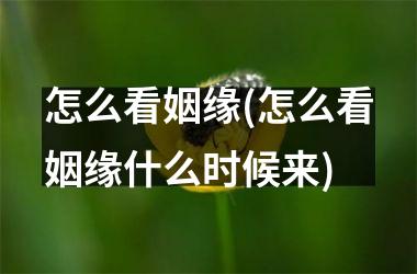 <h3>怎么看姻缘(怎么看姻缘什么时候来)