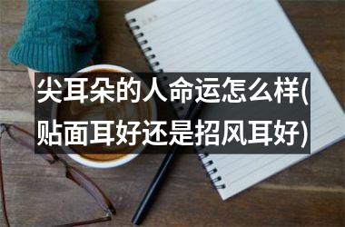 <h3>尖耳朵的人命运怎么样(贴面耳好还是招风耳好)