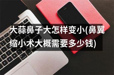 <h3>大蒜鼻子大怎样变小(鼻翼缩小术大概需要多少钱)