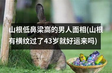 山根低鼻梁高的男人面相(山根有横纹过了43岁就好运来吗)