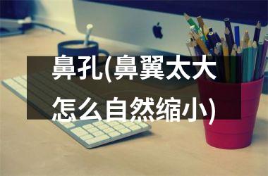 <h3>鼻孔(鼻翼太大怎么自然缩小)