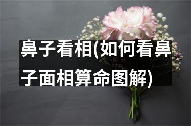 鼻子看相(如何看鼻子面相算命图解)