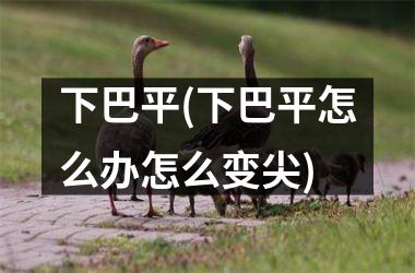 <h3>下巴平(下巴平怎么办怎么变尖)