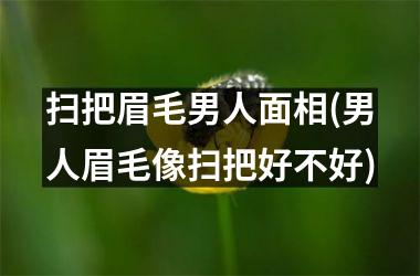 <h3>扫把眉毛男人面相(男人眉毛像扫把好不好)