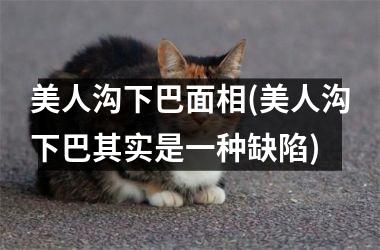 <h3>美人沟下巴面相(美人沟下巴其实是一种缺陷)