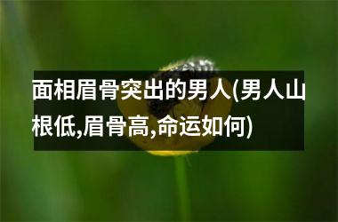 <h3>面相眉骨突出的男人(男人山根低,眉骨高,命运如何)