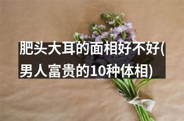 <h3>肥头大耳的面相好不好(男人富贵的10种体相)